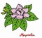 Aunt Martha's Daylily Peony Magnolia 3866 embroidery iron on pattern